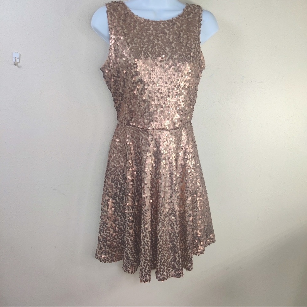 Love & Fire Glittering Sequin Skater Elegant Rose Dress
